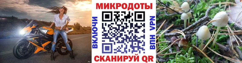 Псилоцибиновые грибы Psilocybe  купить   Талдом 
